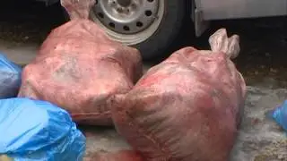 В Смоленской области задержаны браконьеры (+18)