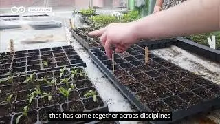 Using Arduino Cloud to Build an Automated Greenhouse