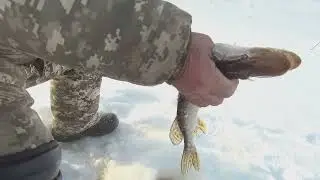 3-я  поездка  на  дальнее  озеро.