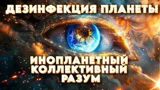 ДЕЗИНФЕКЦИЯ ПЛАНЕТЫ! Важные ПРОЦЕССЫ На ЗЕМЛЕ! ЭТО ГЛОБАЛЬНЫЙ МОМЕНТ | Абсолютный Ченнелинг
