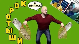 Депутат ОБМАТЕРИЛ полицейских, Метрополитен в СУДЕ, Черная Поэзия и РАСИЗМ!  КОРОТЫШИ 01.03.21
