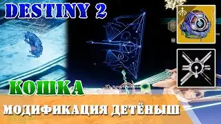 Хранитель желаний Модификация Детёныш ЗВЕЗДНАЯ КОШКА поручение Созвездие Желание Destiny 2