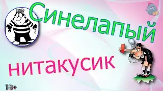 Синелапый Нитакусик /КалоТушка / Коллекторы и звонки / Капли тетушки Фиры / Самая Падшая Тетушка