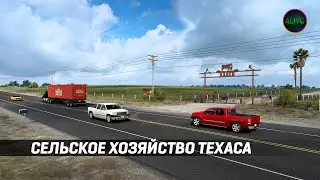 СЕЛЬСКОЕ ХОЗЯЙСТВО ТЕХАСА В 