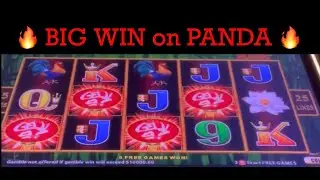 🔥 BIG WIN on PANDA 🔥 DRAGON LINK SLOT MACHINE 🎰 POKIE WINS