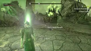 Elder Scrolls Online Necrom Get Skill Point Decoction Mitts and Watchling Companion From Main Quest