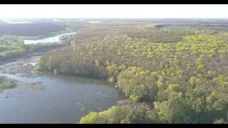 Весенний лес. Красносвободное DJI 0032