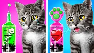 Не плачь, маленький котенок! 🥹 Я построю маленький домик для милого кота!