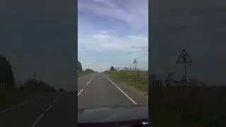 Куропатка встретилась с бампером. ЖАЛЬ. #Shorts