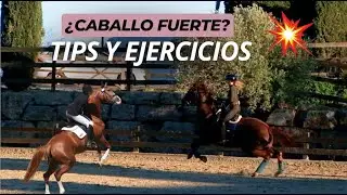 Mi caballo está fuerte, se arranca, se bota | La solución