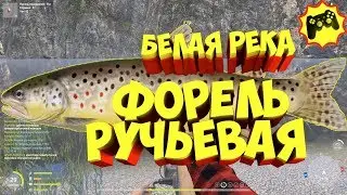 русская рыбалка 4 - Форель река Белая - рр4 фарм Алексей Майоров
