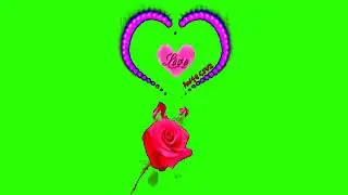 Dil green screen video effect