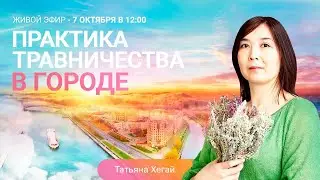 🌿Практика травничества в городе. Эфир с Татьяной Хегай