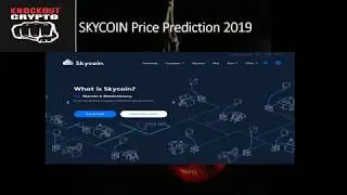 SKYCOIN Price Prediction 2019