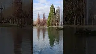 Lons Le Saunier зимний парк Франция 🇫🇷