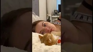 Кошачьи лапы+хозяйский рот😁