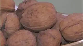 Ранок-панок. Марія Пахолок. Про волоський горіх