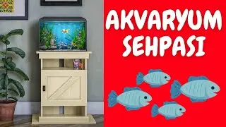 Akvaryum Sehpası Nasıl Olmalı?