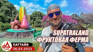 Фруктовая плантация 🔴 Таиланд LIVE
