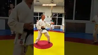 Mae Ashi Mae Geri chudan. #asairyu #karate #каратэ