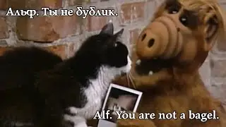 Alf. You are not a bagel. Альф. Ты не бублик. 
