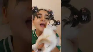 Kıskanç arkadaş problemi kedi #shorts