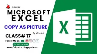 MS Excel - Copy as Picture | Using Copy as Painter & Format Painter Command in Excel | 