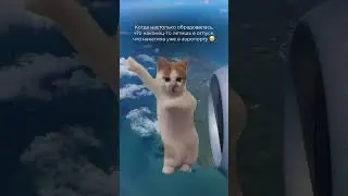 Джими Джими , ача ача …танцы в аэропорту 