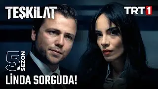 Linda ve Ejder sorguda! | 