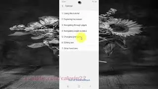 Samsung Galaxy S20 : How to show Voice Assistant Tutorial (Android 10)