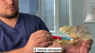 Ветеринарна стоматологія в Ексвет