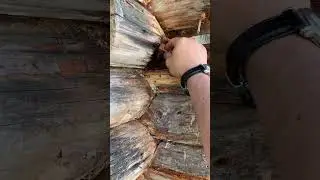 🔥🪵Баня огонь 🔥 и все из-за маленьких саксов крыши