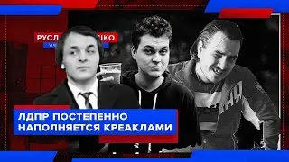 Жмилевский поясняет за креаклы ЛДПР (Мэддисон и Хованский)