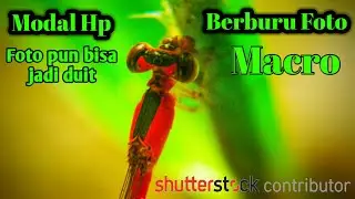 Berburu foto macro untuk dijual di shutterstock 