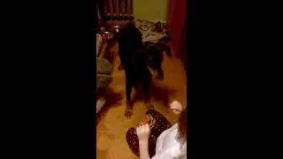 ПРОДОЛЖАЕМ ИГРАТЬ ЗЕННА И КАНАТКА