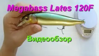 Видеообзор Megabass Lates 120 F по заказу Fmagazin