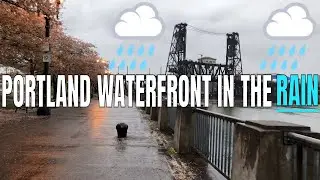 Tom McCall Waterfront Park in the rain in Portland, Oregon │4K 60ᶠᵖˢ │Virtual Walking Tour | City