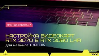 Настройки видеокарт RTX 3070 и RTX 3080 LHR для майнинга TONCOIN на Windows 10