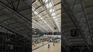 Procedural Space Frame | 