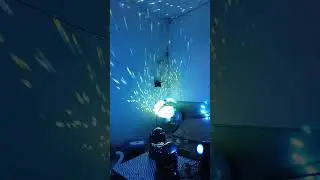 можно - госпожа Эвелин