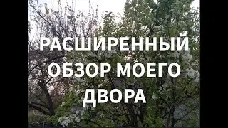 Расширенный обзор моего двора от 13 04 2024