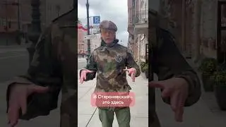 Где в Питере новый и старый Невский? 