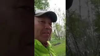 #Шыбындыколь #природавко