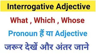 Interrogative Adjective / Interrogative Adjective in English Grammar