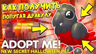 🦇КАК ПОЛУЧИТЬ НОВОГО ПОПУГАЯ ДРАКУЛУ НА ХЕЛЛОУИН В АДОПТ МИ!😱🧛🏻‍♂️НОВЫЙ ХЕЛЛОУИН ИВЕНТ 2024👻ADOPT ME