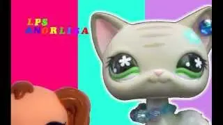 LPS ANORLISA