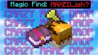 MAXED-ish Magic Find is a SCAM (Hypixel Skyblock)