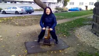 ЧЕХИЯ. ЗНОЙМО. В НОЯБРЕ ЦВЕТЁТ САКУРА.