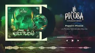 Popurrí Picoso - La Picosa Hernández Banda (Visualizer)