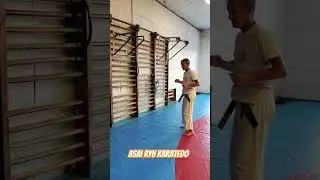 Уширо ёко гери чудан. #asairyu #каратэ #karate